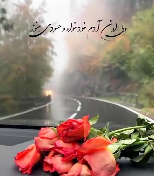 عکس کلیپ استوری واتساپ شاد
