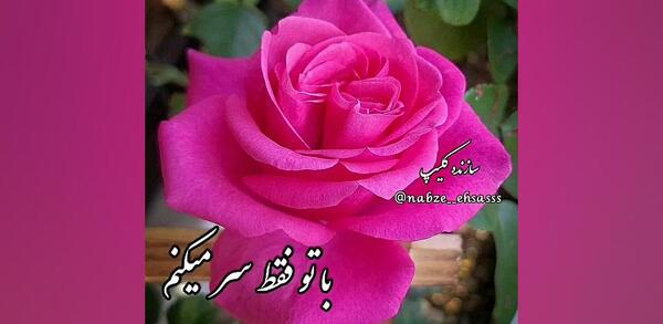 عکس فیلم کوتاه برای استوری واتساپ باحال