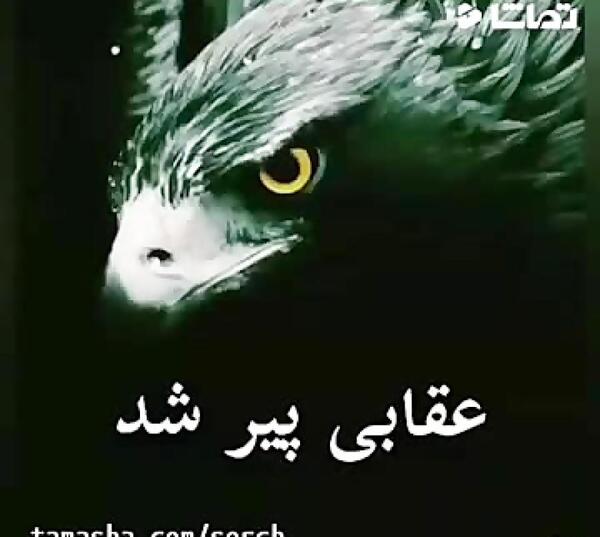عکس فیلم کوتاه برای استوری واتساپ باحال