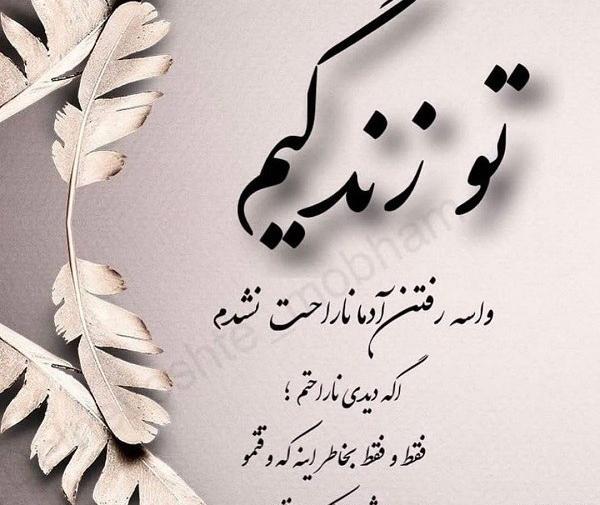 عکس دانلود استوری نمک نشناسی