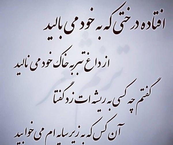 عکس استوری راجع به نمک نشناسی