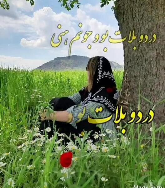 عکس کلیپ زیبا برای استوری لری جدید