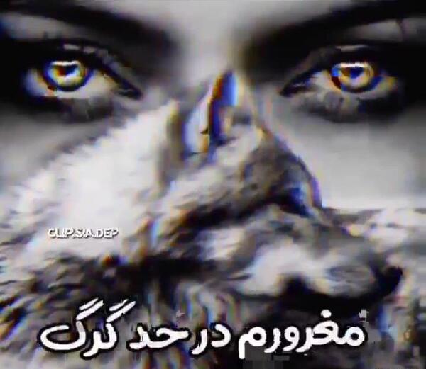 عکس استوری لاتی عاشقانه