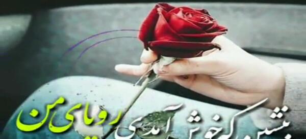 عکس استوری گل عاشقانه