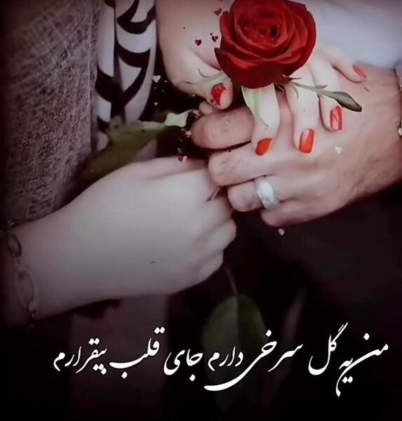 عکس استوری گل عاشقانه
