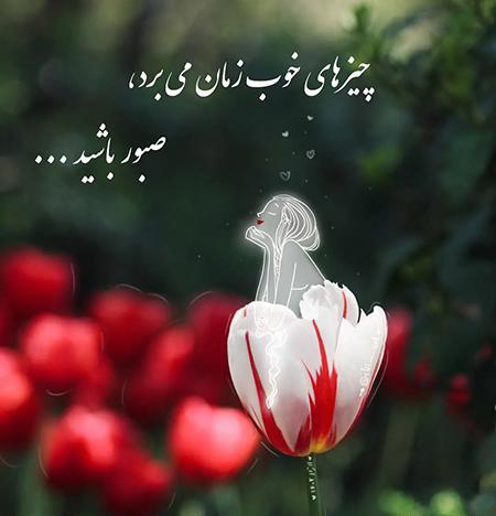 عکس استوری گل عاشقانه