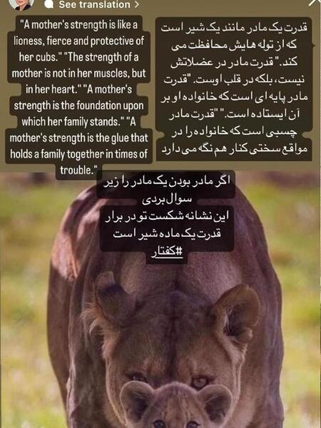 عکس استوری گرگ و میش