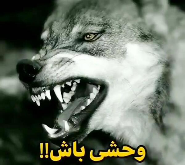 عکس استوری گرگ و میش
