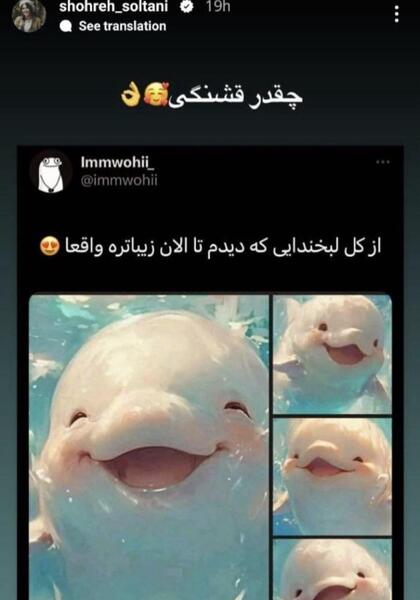 عکس استوری گرگ و میش