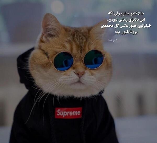 عکس استوری کوتاه و زیبا