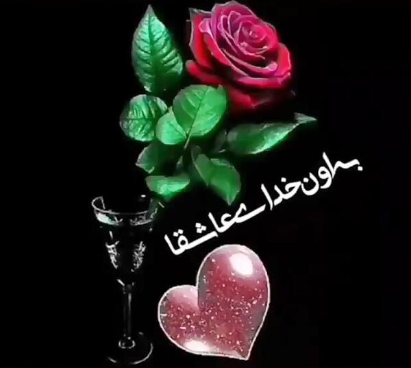 عکس قلب استوری کلیپ عاشقانه شاد برای وضعیت واتساپ
