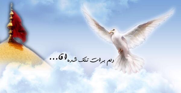عکس استوری کربلا دلم برات تنگ شده