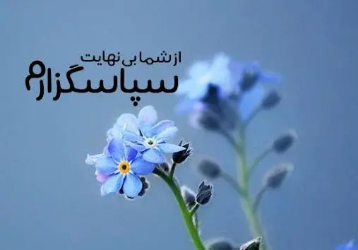 عکس استوری برای قدردانی از همسر