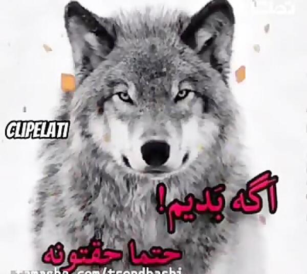 عکس دانلود استوری فاز سنگین
