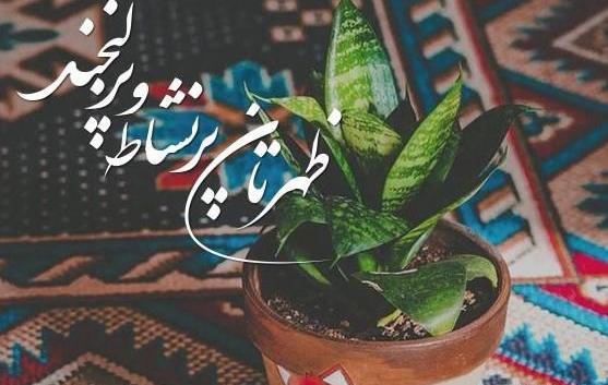 عکس برای استوری ظهر بخیر