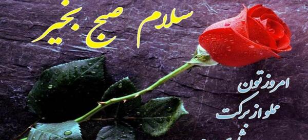 عکس برای استوری ظهر بخیر