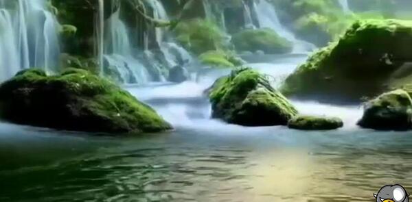 عکس استوری طبیعت با آهنگ ملایم