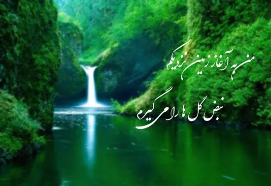 عکس استوری طبیعت با آهنگ ملایم
