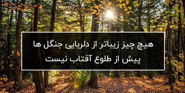 عکس استوری طبیعت با متن زیبا