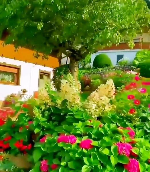 عکس استوری طبیعت با متن زیبا