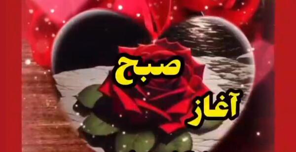 عکس کلیپ صبح بخیر عاشقانه برای استوری
