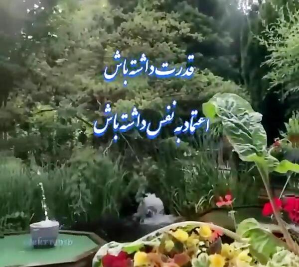 عکس کلیپ صبح بخیر پر انرژی برای استوری