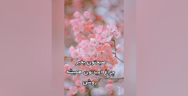 عکس کلیپ صبح بخیر پر انرژی برای استوری