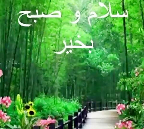 عکس کلیپ صبح بخیر پر انرژی برای استوری
