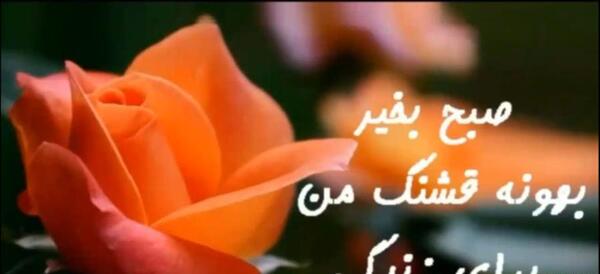 عکس کلیپ صبح بخیر پر انرژی برای استوری