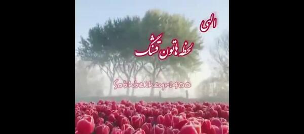 عکس کلیپ صبح بخیر پر انرژی برای استوری