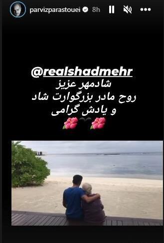 عکس استوری شادمهر