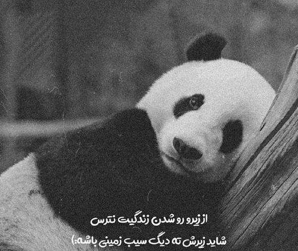 عکس استوری طنز رفیق