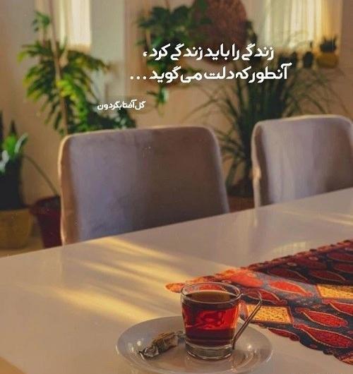 عکس کلیپ استوری زندگی زیباست