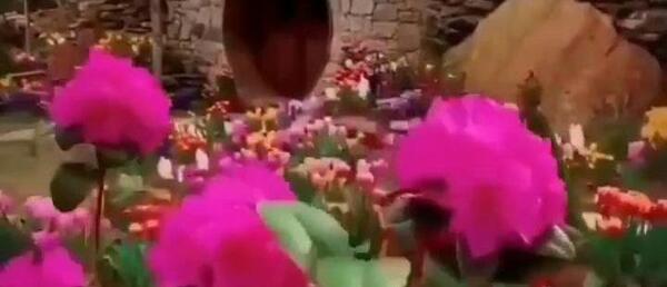 عکس کلیپ استوری زندگی زیباست