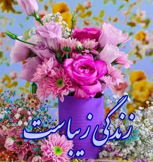 عکس کلیپ استوری زندگی زیباست