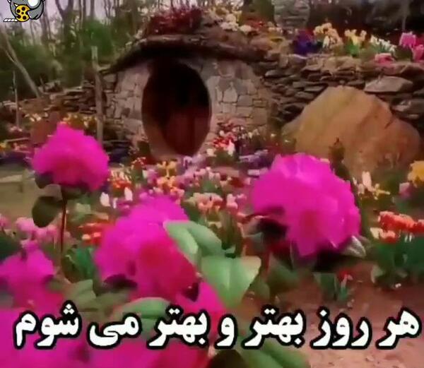 عکس کلیپ استوری زندگی زیباست