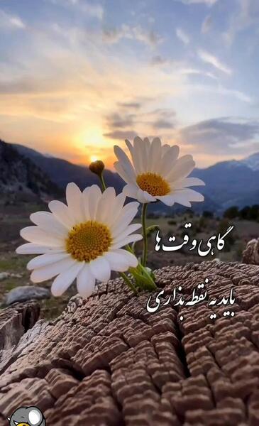 عکس کلیپ استوری زندگی زیباست