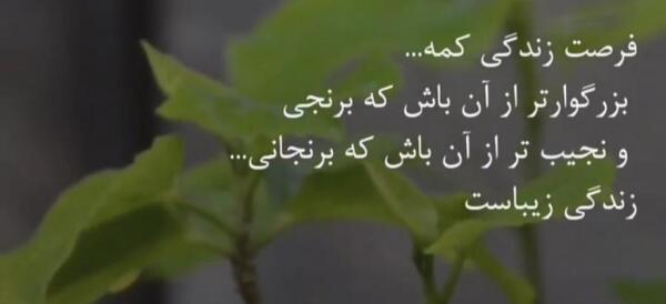 عکس استوری در مورد زندگی زیباست
