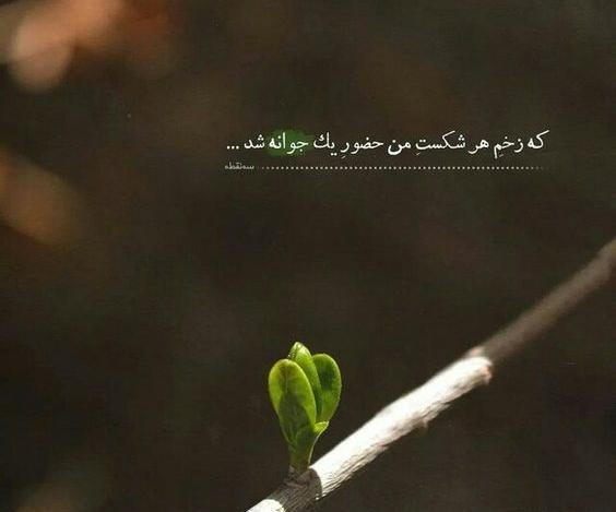 عکس استوری زندگی جدید
