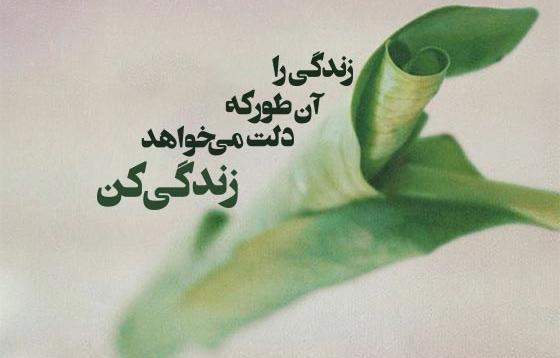 عکس استوری زندگی جدید