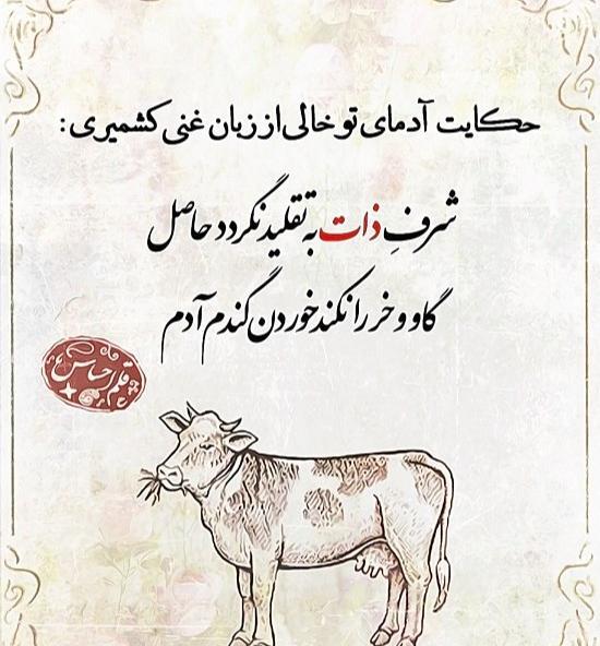 عکس استوری ذات دار
