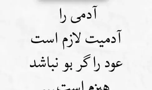 عکس استوری ذات دار