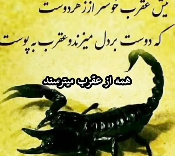 عکس استوری رفیق بد ذات
