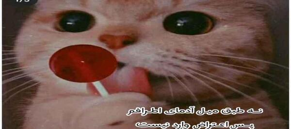 عکس کلیپ استوری دخترونه لاکچری