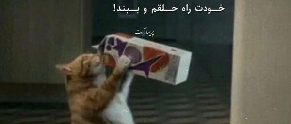 عکس متن استوری خنده دار جدید