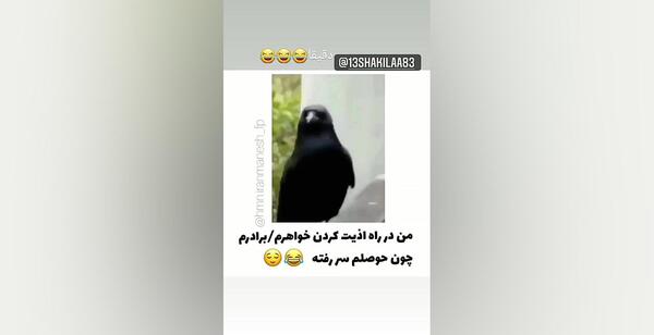 عکس کلیپ حوصلم سر رفته برای استوری