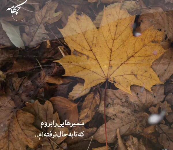 عکس استوری حرف دل عاشقانه