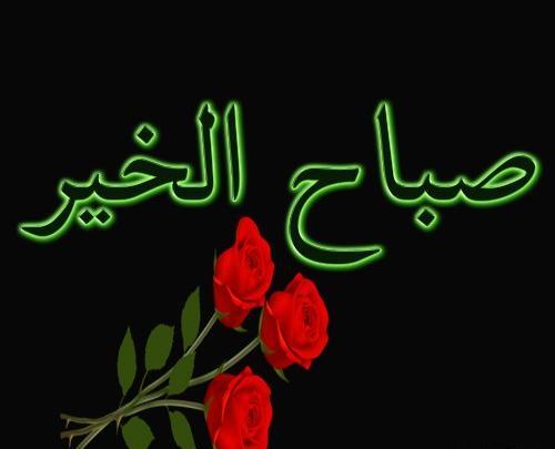 عکس استوری واتساپ جدید عربی