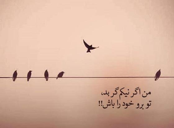 عکس استوری جنگی تیکه دار