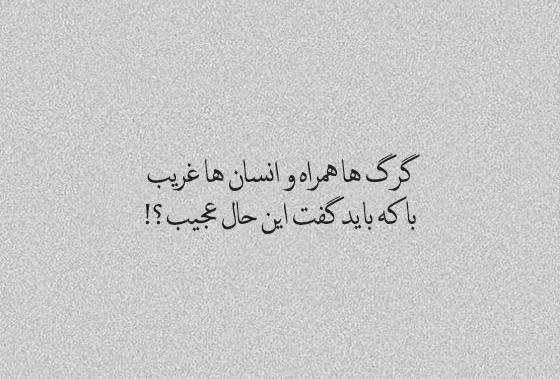 عکس استوری جنگی تیکه دار